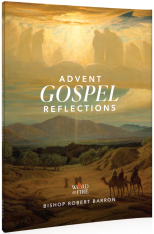 Advent Gospel Reflections 2025